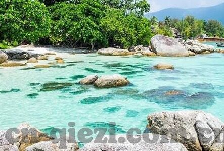18av免费麻豆网-探索免费资源平台的多样性与局限性 —— 以18av免费麻豆网为例