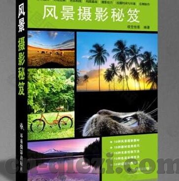 鸡教练vlog糖心-题为鸡教练在Vlog中的甜蜜时刻的文章内容