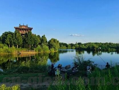 麻豆啊传媒app-探寻数字影像背后的文化与审美，麻豆啊传媒APP的多元视角