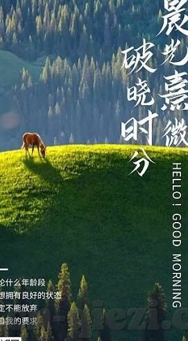 糖心vlog app破解版ios-揭秘与警示，糖心Vlog App——解密iOS平台下的另类探索